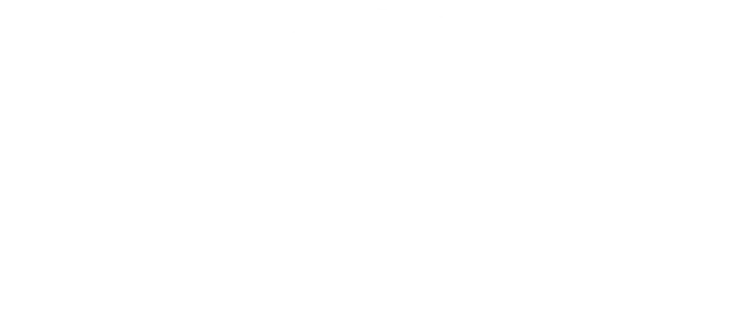 fira expo logo 4